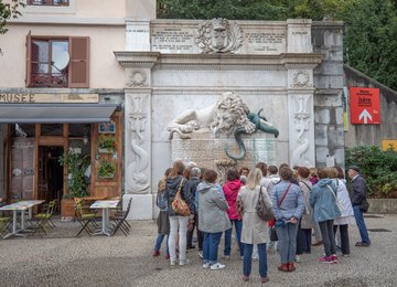Guided tours 