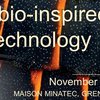 2ND INTERNATIONAL WORKSHOP « INSECT BIO-INSPIRED MICROTECHNOLOGY »
