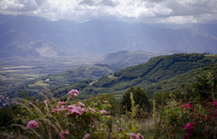 Centre de Parménie