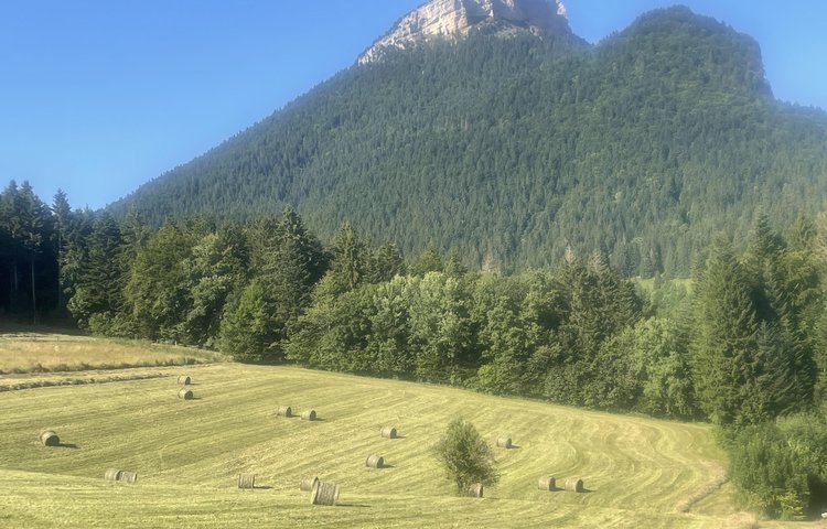 Gîte de groupe - Bâtiment St Eynard - Domaine de Bens