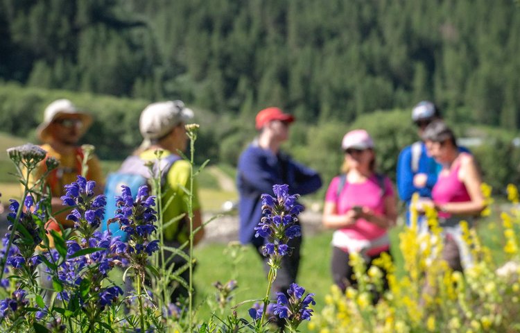 SILADEN Séminaire au vert & Team Building nature