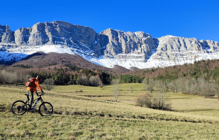 Bike rental - Altebike