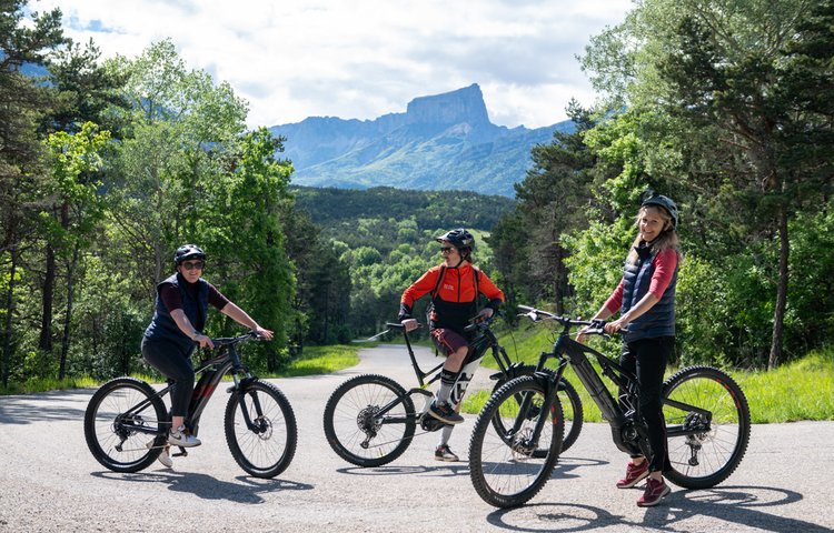 Bike rental - Altebike