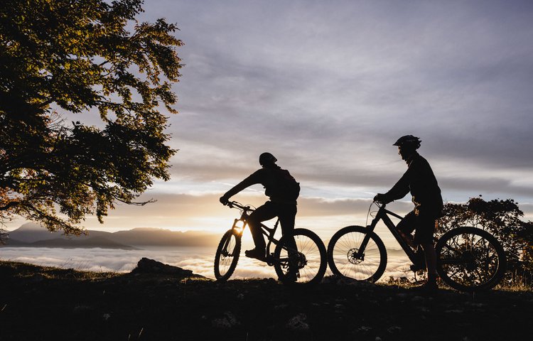 Bike rental - Altebike