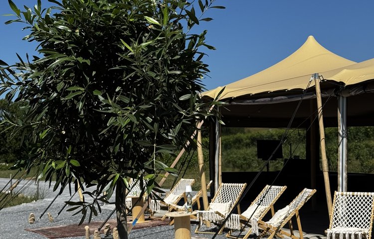 Vignoble & château Chevalier Bayard