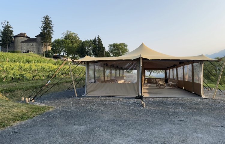 Vignoble & château Chevalier Bayard