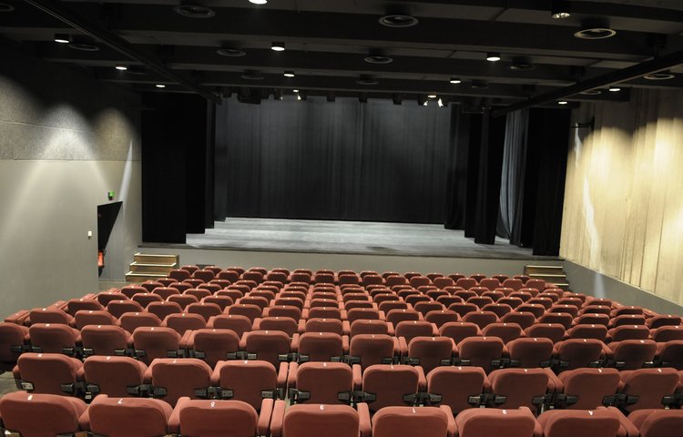 MC2: Maison de la Culture