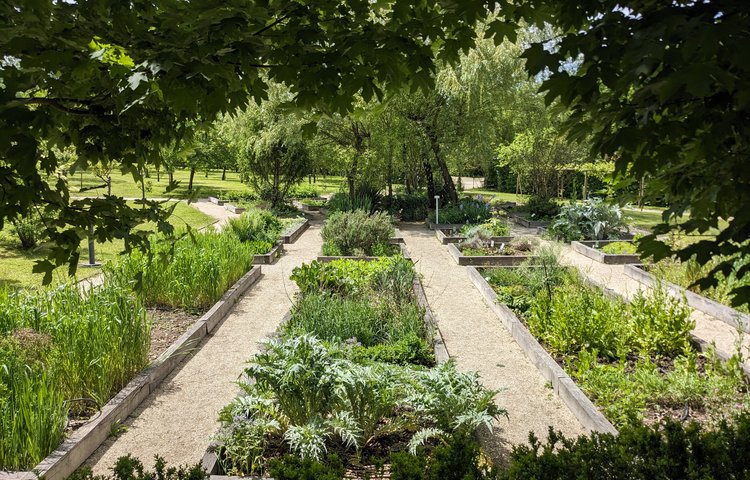 Le Couvent des Carmes