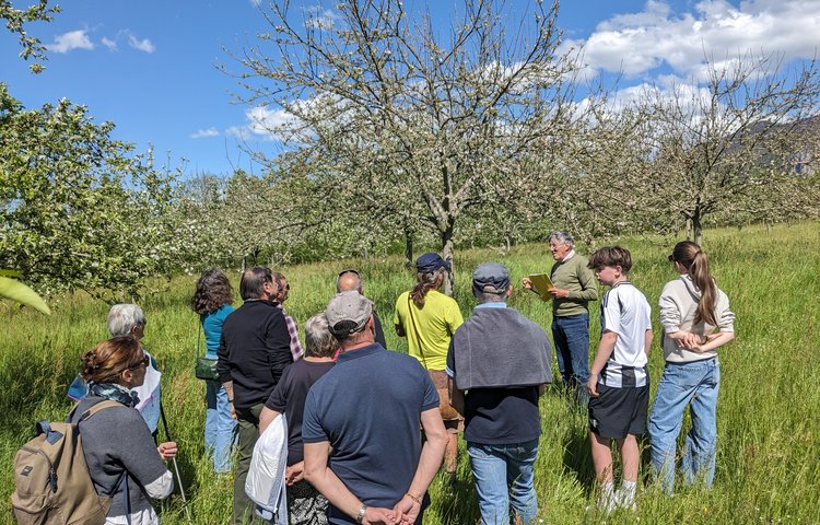 Le Couvent des Carmes