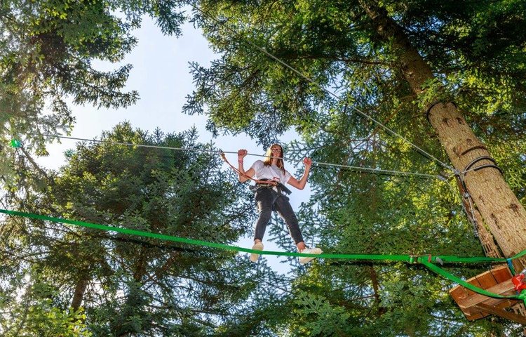 Indian Forest acrobatic treetop courses