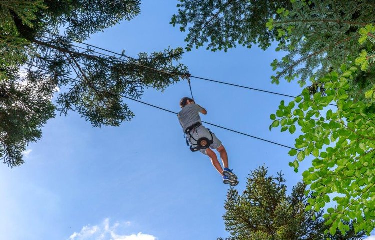 Indian Forest acrobatic treetop courses