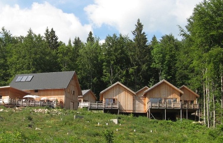 Gîte de groupe - L'évasion au naturel